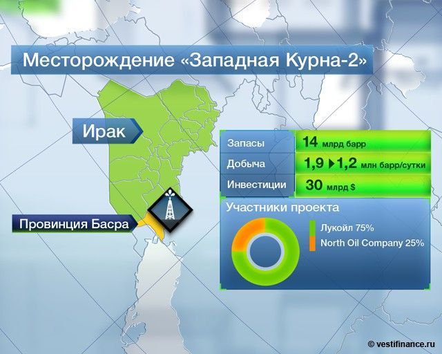 Проект западная курна 2